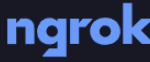 ngrok
